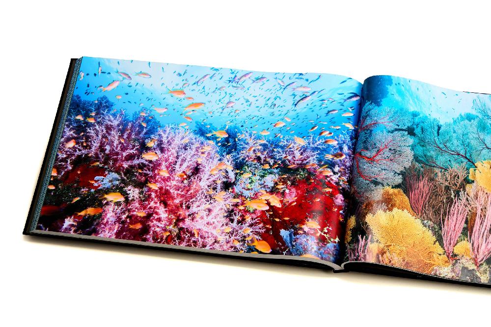 古見きゅう様 大型写真集「Longing」②