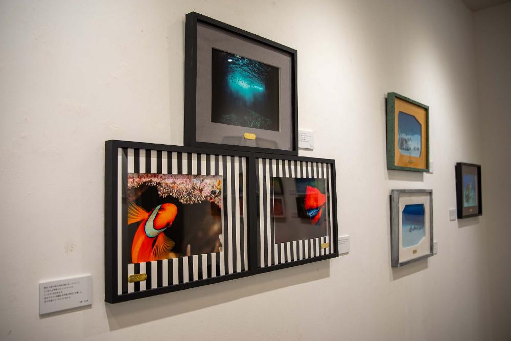 Longing個展②