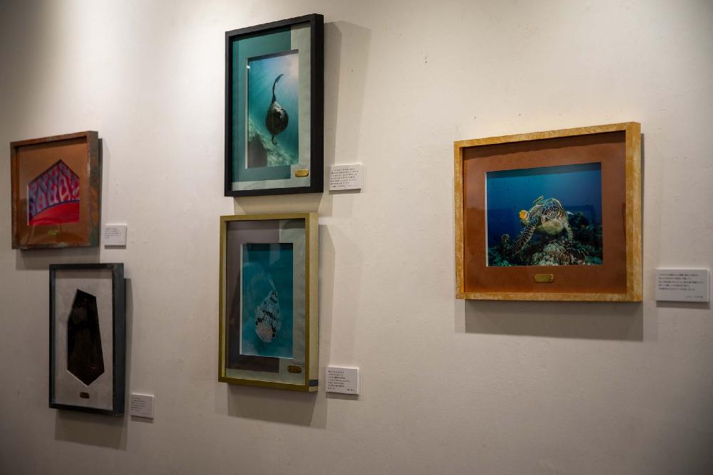 Longing個展③